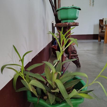 Gayatri Homestay Dibrugarh Bagian luar foto