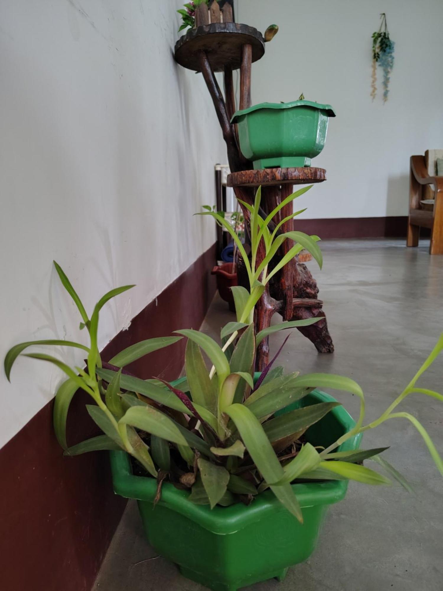Gayatri Homestay Dibrugarh Bagian luar foto